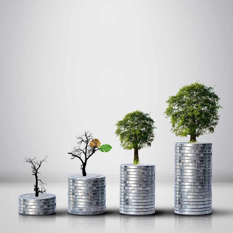 series of stacked coins with maturing tree showing growth